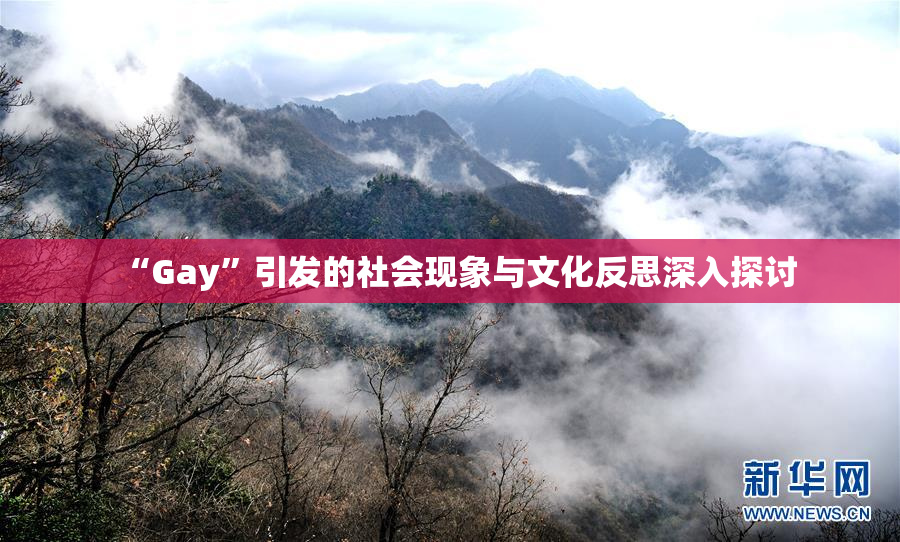 “Gay”引发的社会现象与文化反思深入探讨