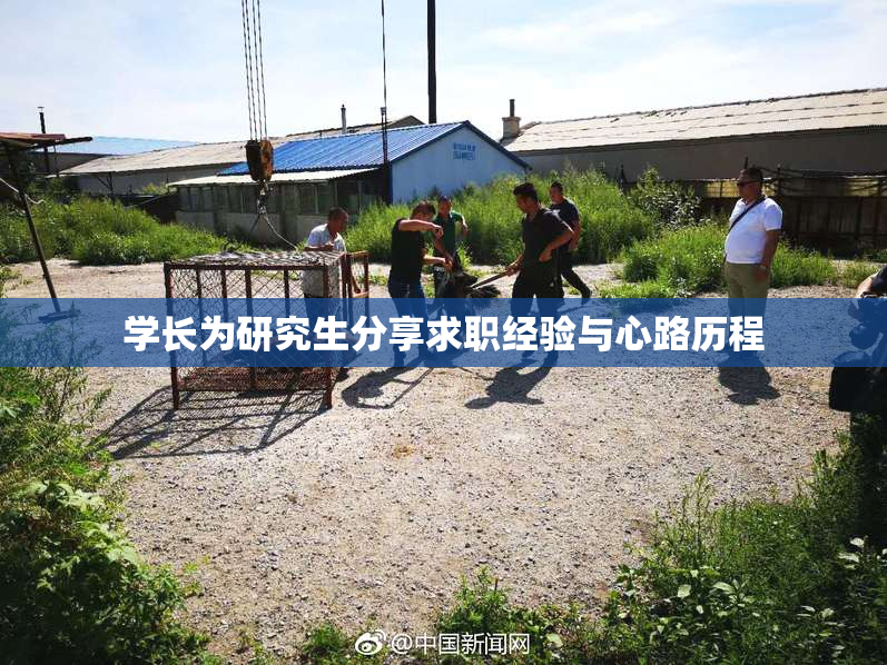 学长为研究生分享求职经验与心路历程