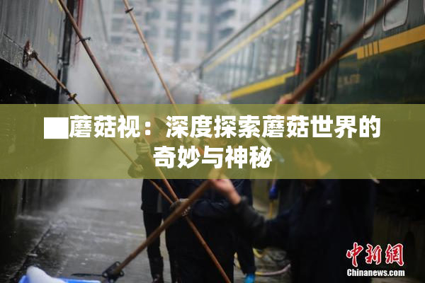 ▇蘑菇视：深度探索蘑菇世界的奇妙与神秘