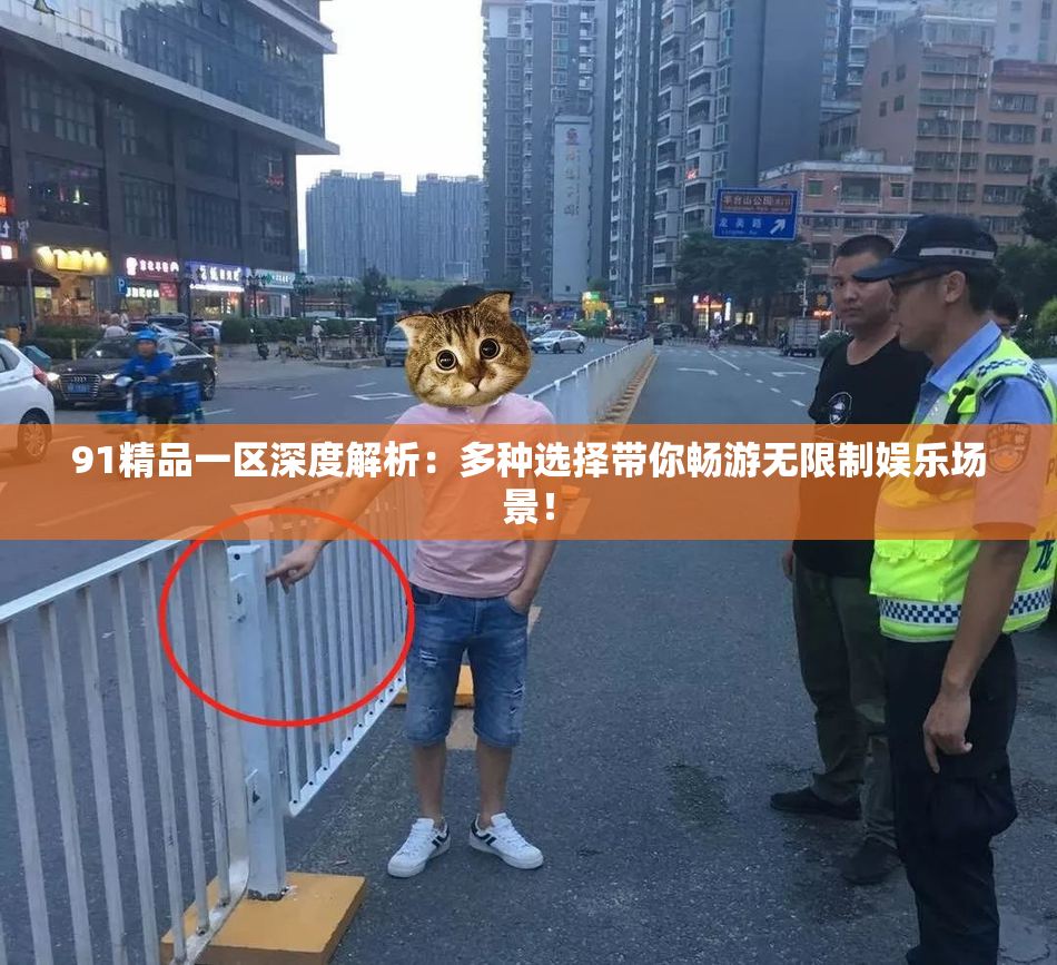 91精品一区深度解析：多种选择带你畅游无限制娱乐场景！