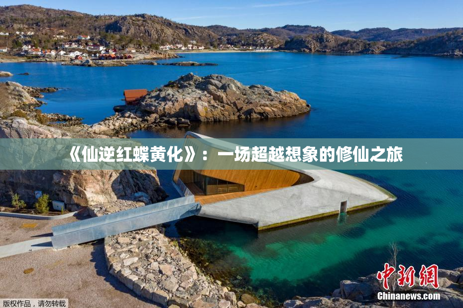 《仙逆红蝶黄化》：一场超越想象的修仙之旅