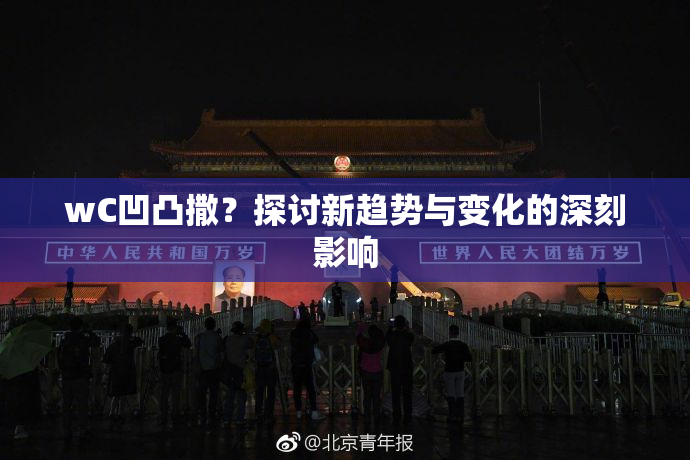 wC凹凸撒？探讨新趋势与变化的深刻影响