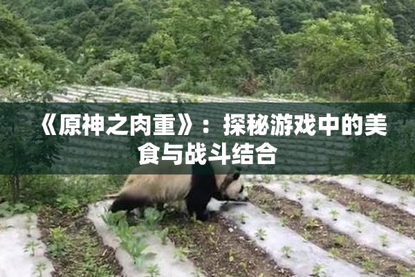 《原神之肉重》：探秘游戏中的美食与战斗结合