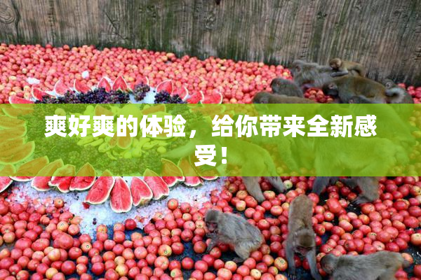爽好爽的体验，给你带来全新感受！