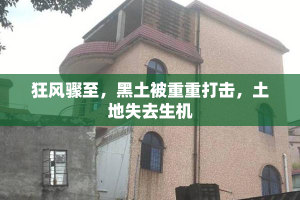 狂风骤至，黑土被重重打击，土地失去生机