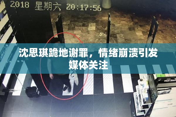 沈思琪跪地谢罪，情绪崩溃引发媒体关注
