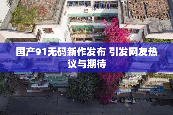国产91无码新作发布 引发网友热议与期待