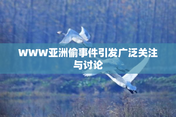 WWW亚洲偷事件引发广泛关注与讨论