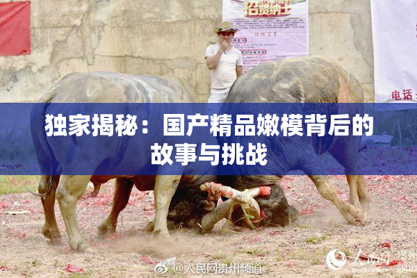 独家揭秘：国产精品嫩模背后的故事与挑战