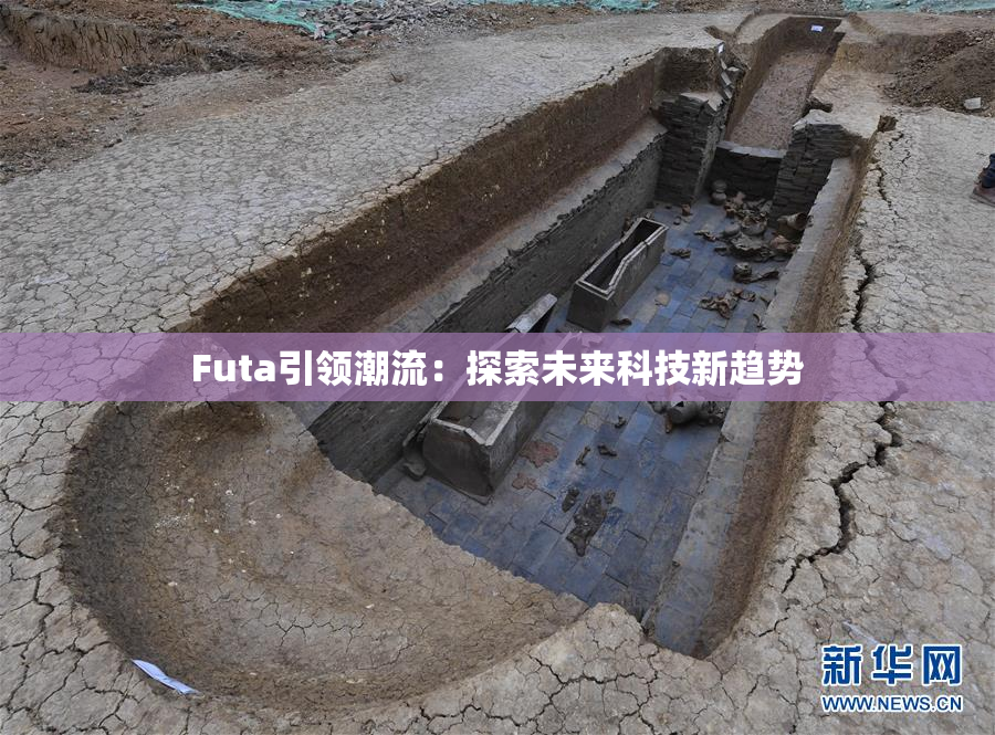 Futa引领潮流：探索未来科技新趋势