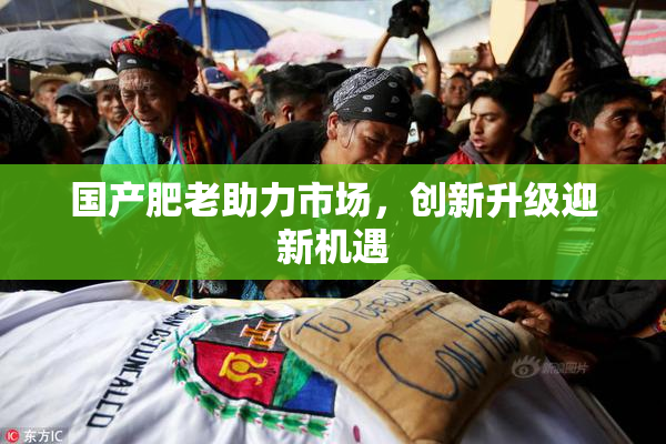 国产肥老助力市场，创新升级迎新机遇
