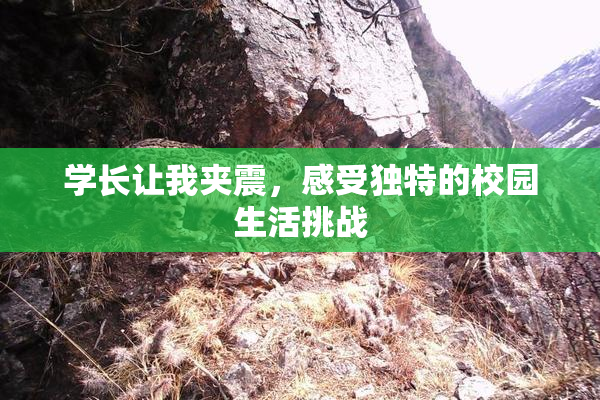学长让我夹震，感受独特的校园生活挑战