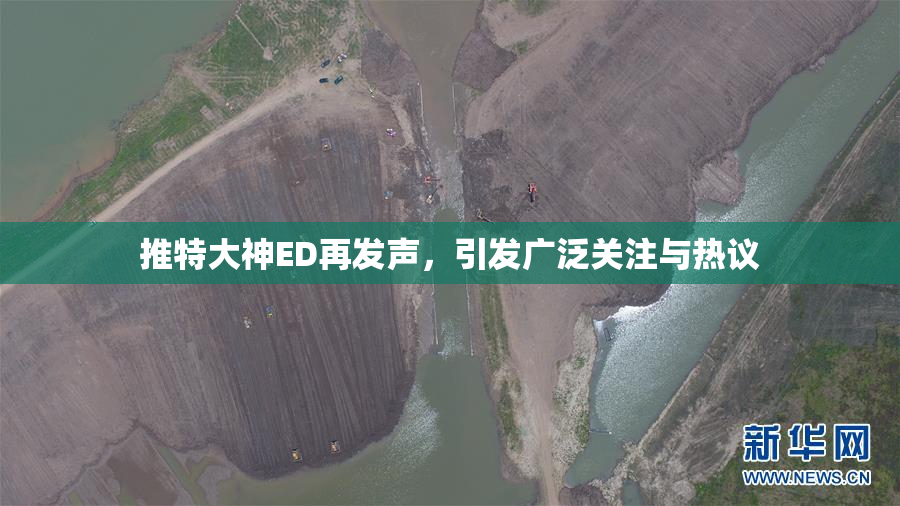 推特大神ED再发声，引发广泛关注与热议