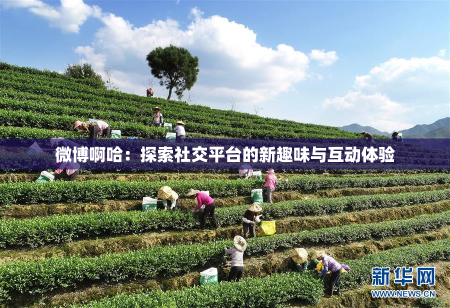 微博啊哈：探索社交平台的新趣味与互动体验