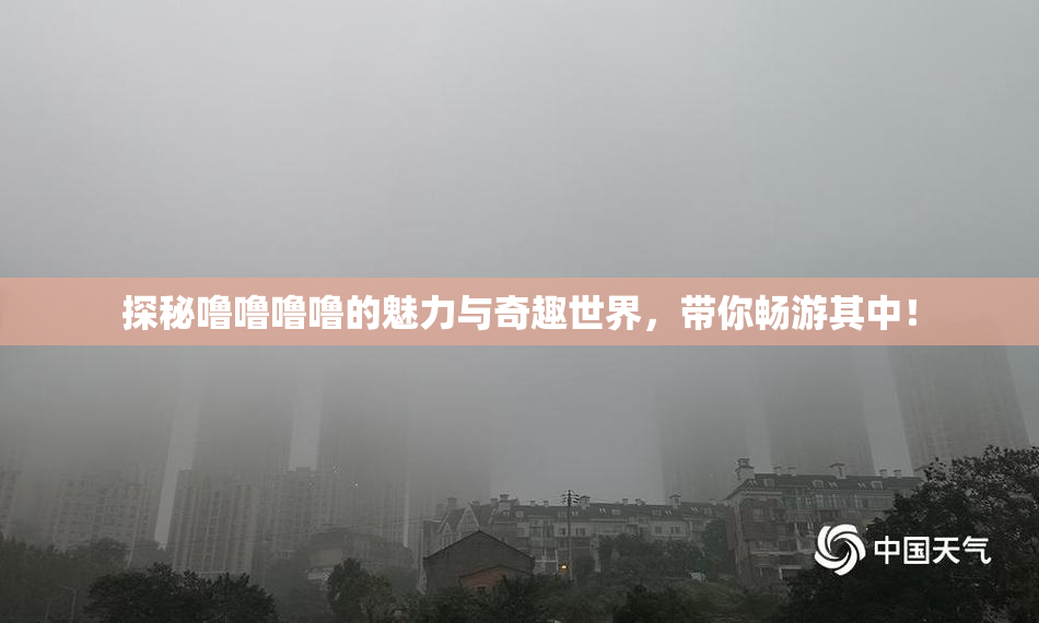 探秘噜噜噜噜的魅力与奇趣世界，带你畅游其中！