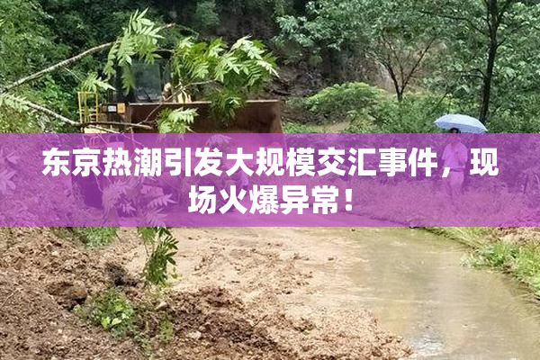东京热潮引发大规模交汇事件，现场火爆异常！