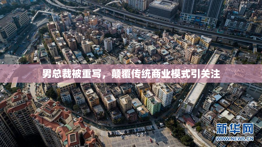 男总裁被重写，颠覆传统商业模式引关注