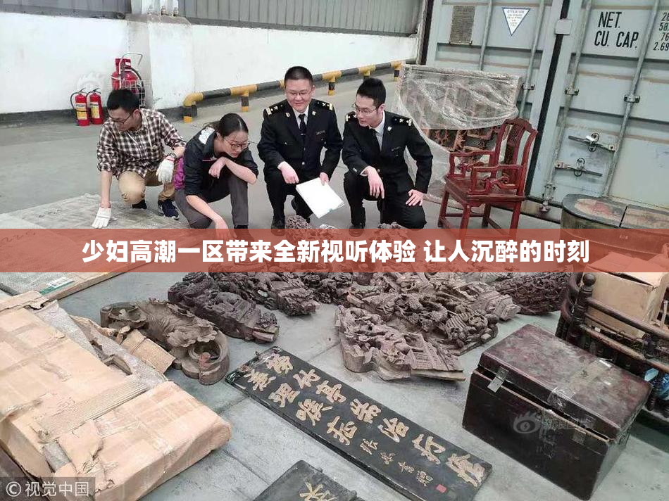 少妇高潮一区带来全新视听体验 让人沉醉的时刻