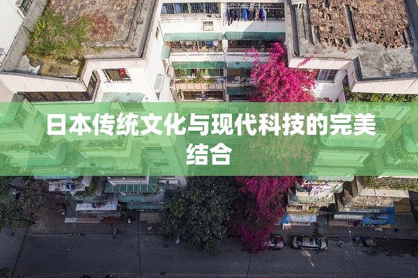 日本传统文化与现代科技的完美结合