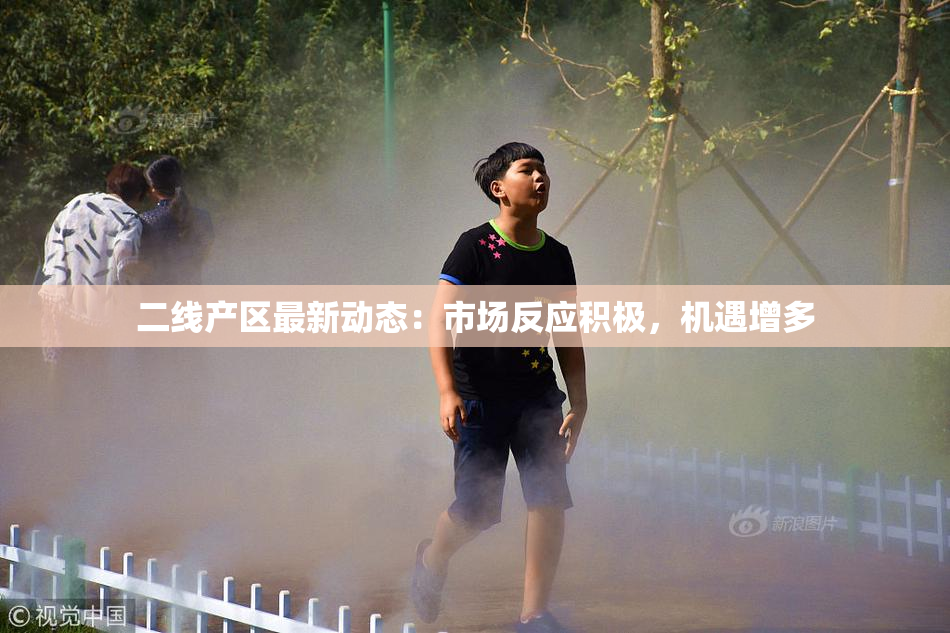 二线产区最新动态：市场反应积极，机遇增多