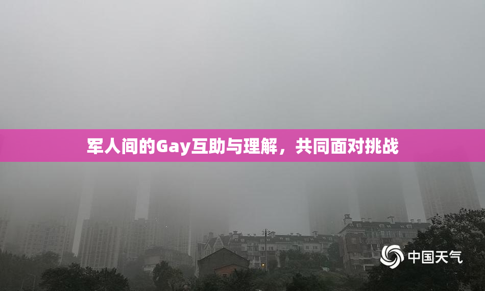 军人间的Gay互助与理解，共同面对挑战