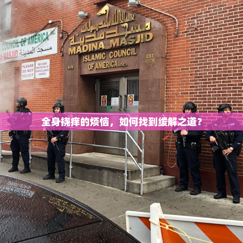 全身挠痒的烦恼，如何找到缓解之道？