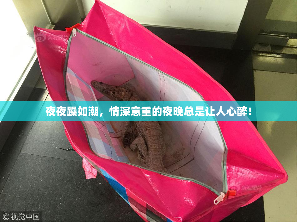 夜夜躁如潮，情深意重的夜晚总是让人心醉！