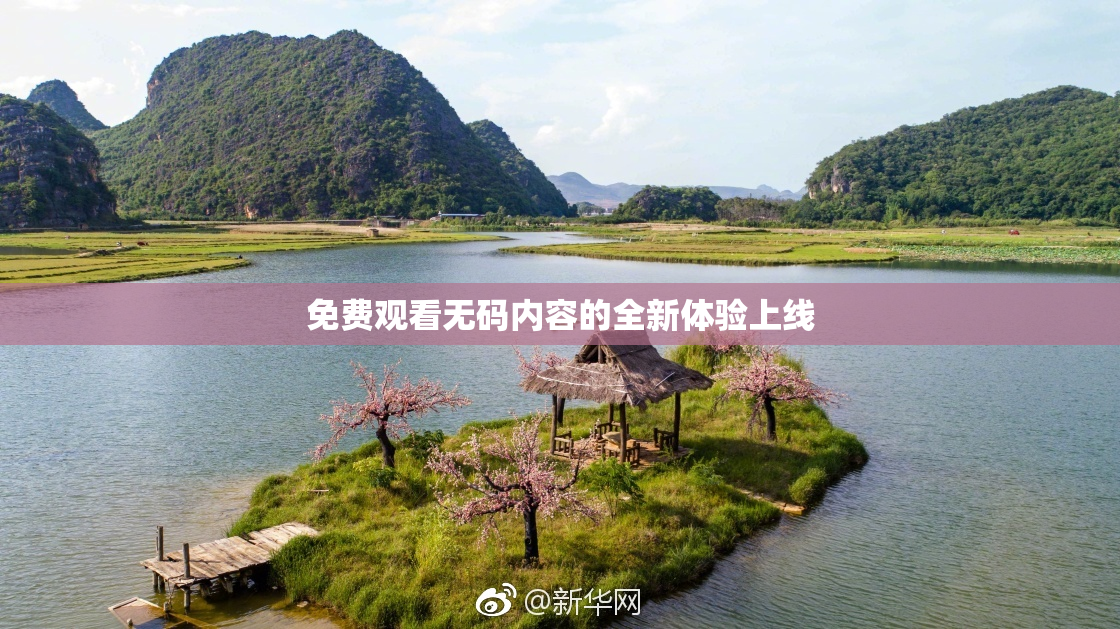 免费观看无码内容的全新体验上线