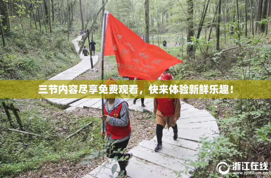 三节内容尽享免费观看，快来体验新鲜乐趣！