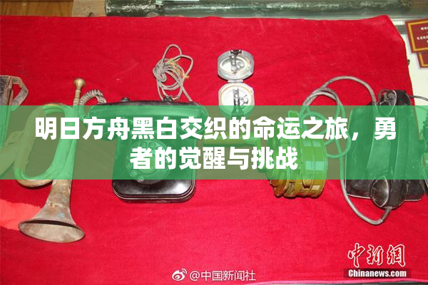 明日方舟黑白交织的命运之旅，勇者的觉醒与挑战