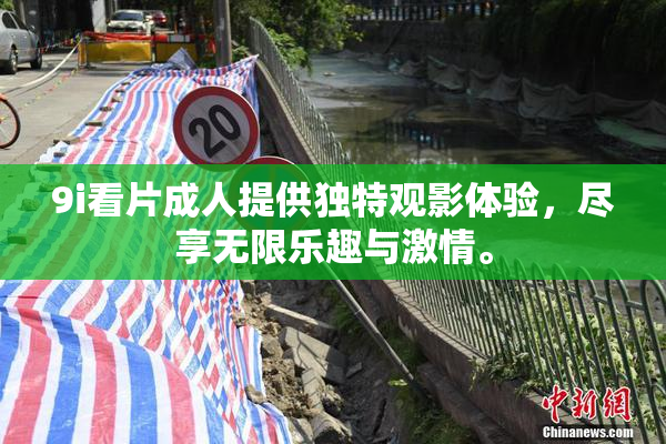9i看片成人提供独特观影体验，尽享无限乐趣与激情。