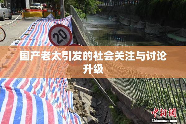 国产老太引发的社会关注与讨论升级