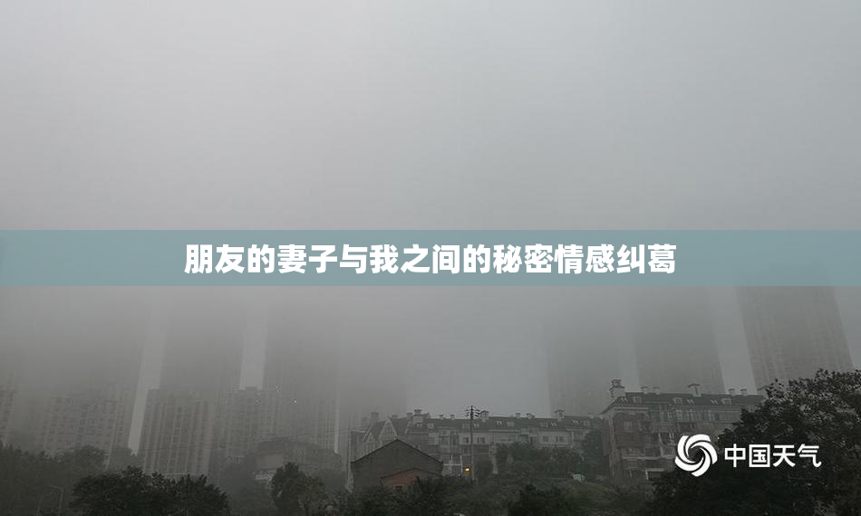 朋友的妻子与我之间的秘密情感纠葛