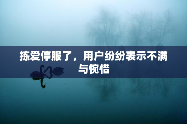 拣爱停服了，用户纷纷表示不满与惋惜
