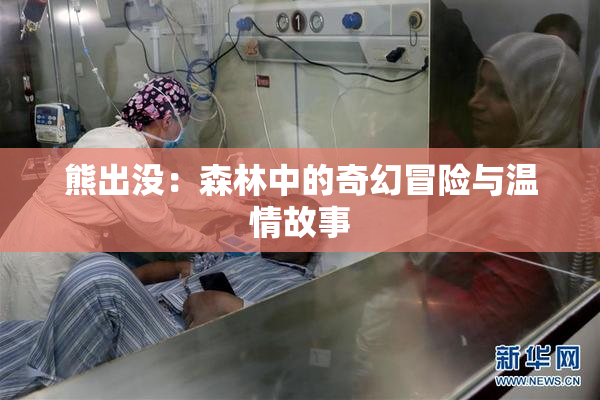 熊出没：森林中的奇幻冒险与温情故事