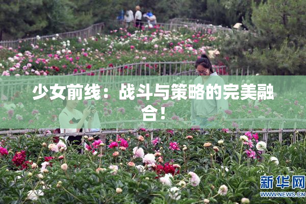 少女前线：战斗与策略的完美融合！