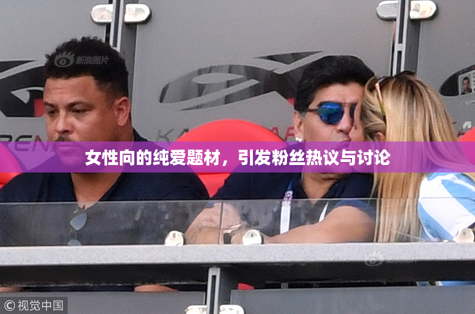女性向的纯爱题材，引发粉丝热议与讨论