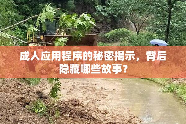成人应用程序的秘密揭示，背后隐藏哪些故事？