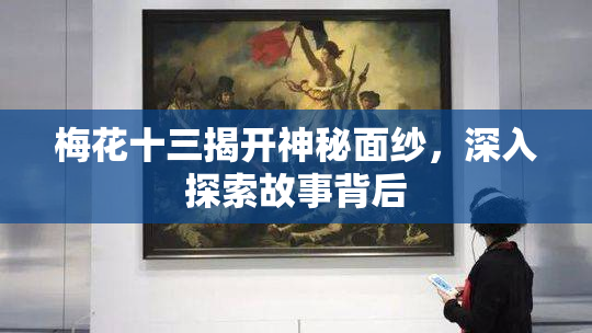 梅花十三揭开神秘面纱，深入探索故事背后