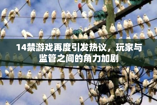 14禁游戏再度引发热议，玩家与监管之间的角力加剧