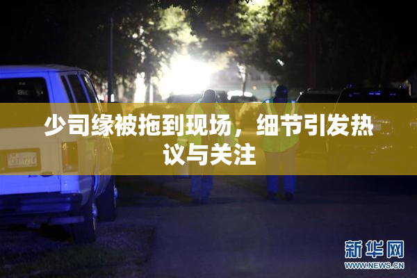 少司缘被拖到现场，细节引发热议与关注