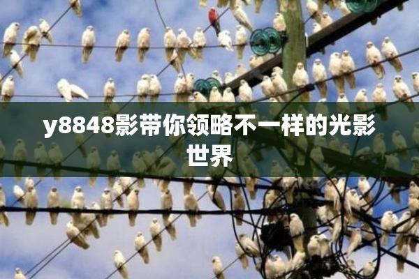y8848影带你领略不一样的光影世界