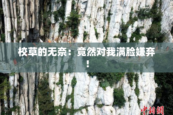校草的无奈：竟然对我满脸嫌弃！