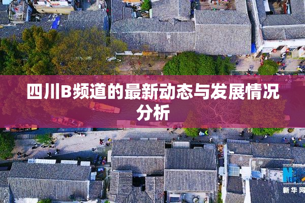 四川B频道的最新动态与发展情况分析