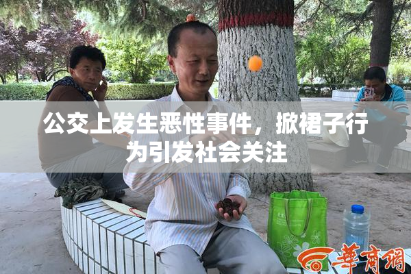 公交上发生恶性事件，掀裙子行为引发社会关注