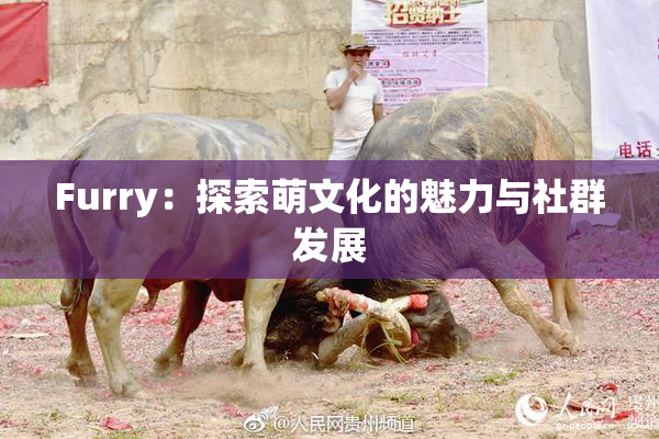 Furry：探索萌文化的魅力与社群发展