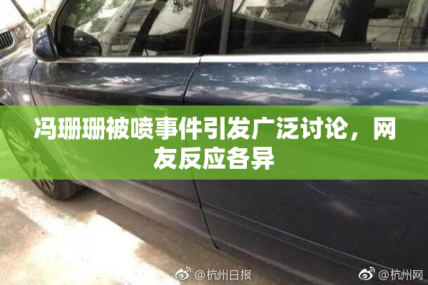 冯珊珊被喷事件引发广泛讨论，网友反应各异