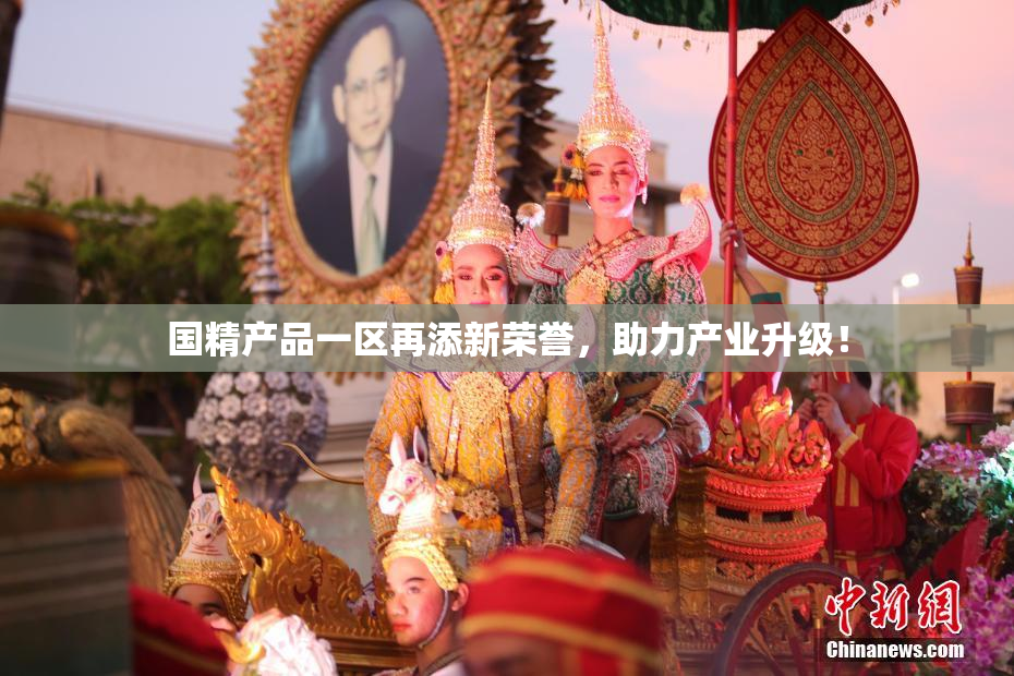国精产品一区再添新荣誉，助力产业升级！