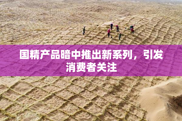 国精产品暗中推出新系列，引发消费者关注