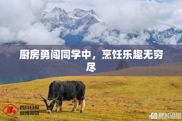 厨房勇闯同学中，烹饪乐趣无穷尽